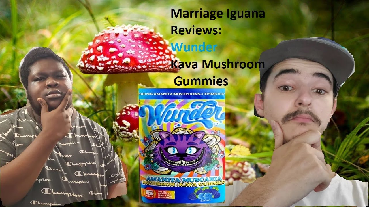 Trip Report! Wunder Kava Mushroom Gummies Review