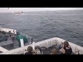 Prefectura persigui a un buque chino que pescaba ilegalmente en aguas argentinas