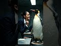 #penguine