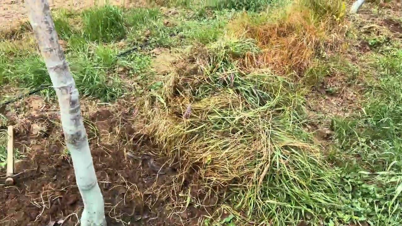 otla mücadelede nasıl başarılı olabiliriz