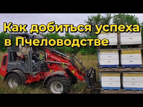 Мой опыт создания промышленной пасеки, проблемы и нюансы промышленного пчеловодства Украины.