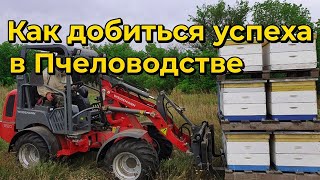 Мой опыт создания промышленной пасеки, проблемы и нюансы промышленного пчеловодства Украины.