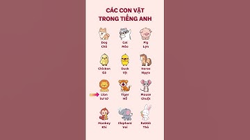 Từ vựng tiếng Anh về các con vật #tienganhgiaotiep #tienganh #hoctienganh