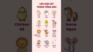 Từ Vựng Tiếng Anh Về Các Con Vật