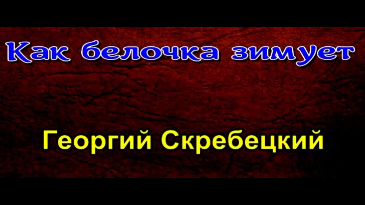 Как белочка зимует— Георгий Скребецкий —читает Павел Беседин - YouTube