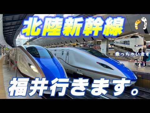 北陸新幹線 福井行きます。サンダーバード乗っちゃいます。【ラッコ隊長🦦】