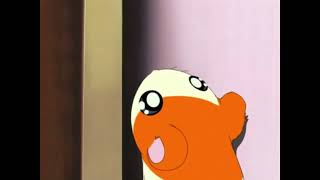 Hamtaro Norsk Parodi