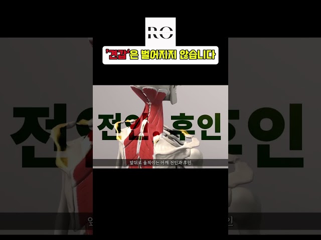 견갑은 벌어지지 않습니다