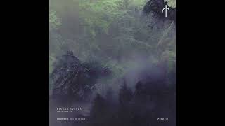 Linear System - Divergent Boundaries [PRPH017]
