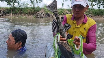 Quăng Chài Lên Cây Dừa Nằm Dưới Sông Bắt Cá Đem Nấu Canh Chua Lá Bứa.Góc Làng Quê#473