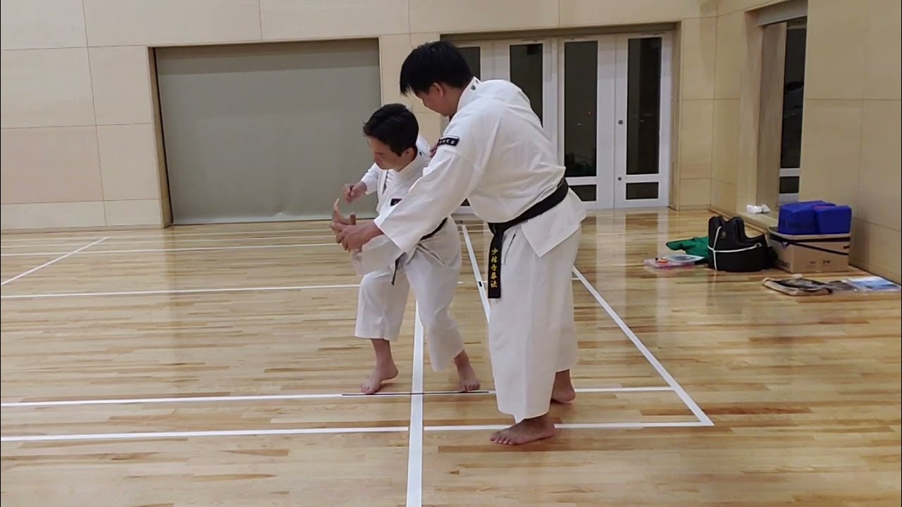 修練模様　小手巻返　各種崩しの研鑽