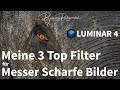 Luminar 4 - Meine 3 Top Filter für Messer Scharfe Bilder