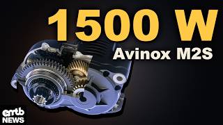 Celebrity Avinox M2 & M2S: 150 Nm Kraftpaket im exklusiven Deep Dive! Profile