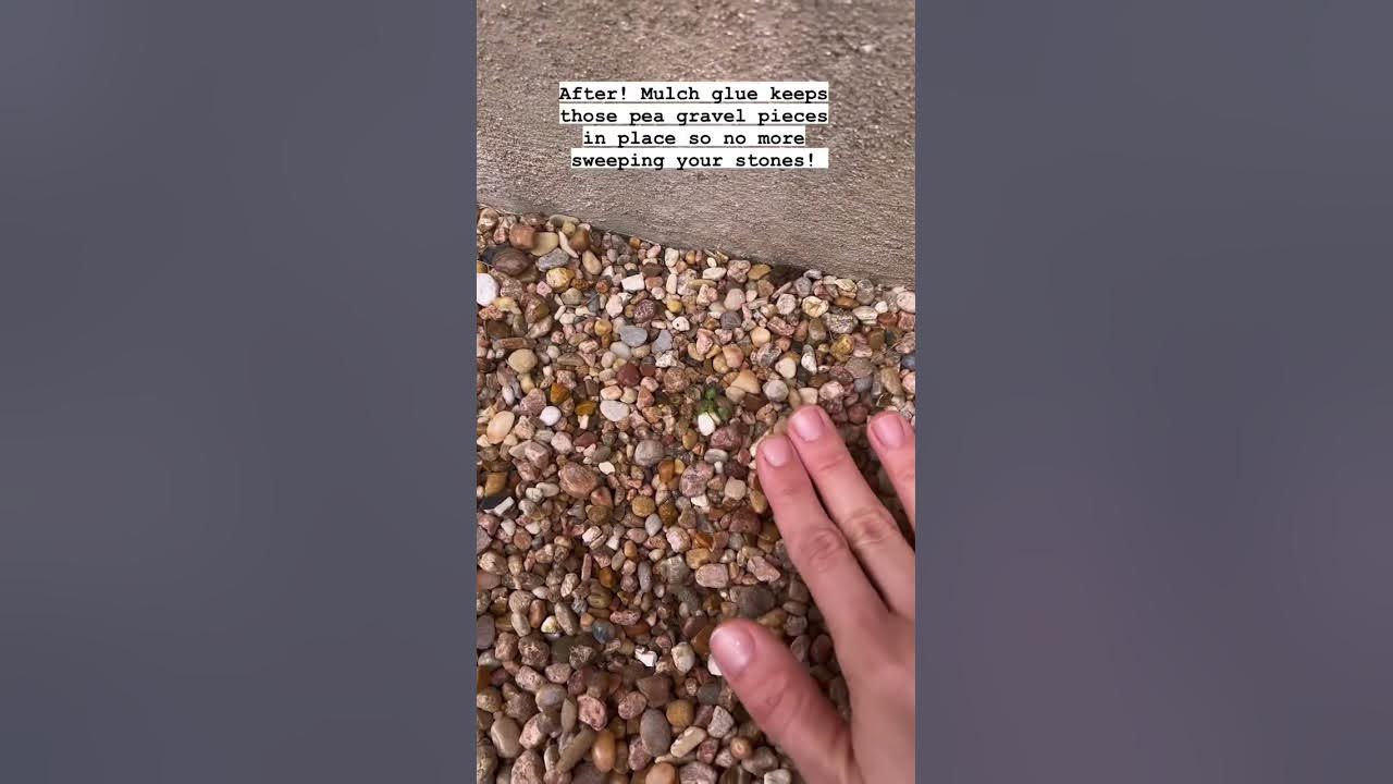 Applying Super Max Mulch Glue to Pebbles! shorts YouTube