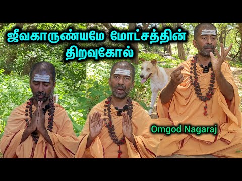 😱மனிதன் முக்தி அடைந்து கடவுளாக மாற வழி ஜீவகாருண்யம்🙏 #thiruvannamalai #omgodnagaraj #omgod #sathugal