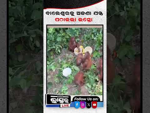 ବାଲେଶ୍ଵରକୁ ଅଜଣା ଯନ୍ତ୍ର ପଠାଇଲା ISRO...#Balaswara #ISRO #Shorts #Odishanews #Trending #Odishabhaskar