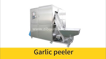Garlic dividing and peeling machine