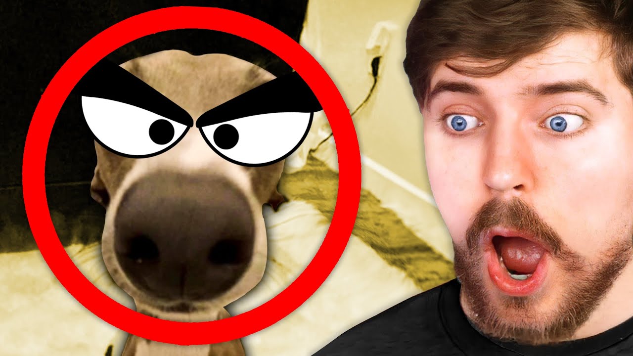 Реакционные шорты — это плохо