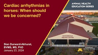Cardiac arrhythmias in horses: When should we be concerned?