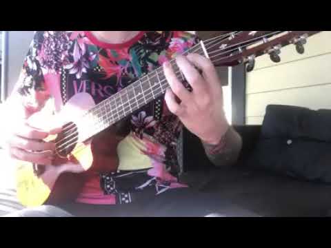 Wretched - Beyond the Gate Acoustic COVER
