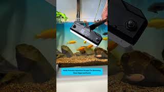 Multi-Function Aquarium Scraper | Thanh cạo mảng bám cực đa năng cho bể cá #aquarium #tools