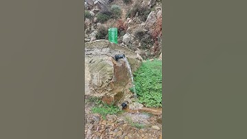 قال تعالى :  ﴿وَجَعَلْنَا مِنَ الْمَاءِ كُلَّ شَيْءٍ حَيٍّ﴾   سورة الأنبياء الآية: 30
