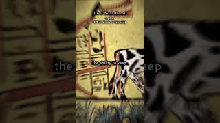 The Paradox Of Progress Insights From Yuval Noah Harari