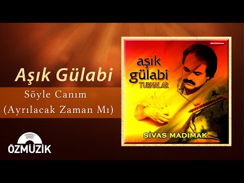 Söyle Canım - Aşık Gülabi (Official Video)