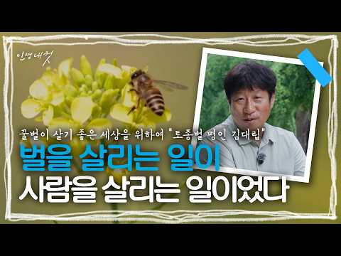 [Life in 4 Cuts] A Tiny Bee Saves the World... Native Bee Master Kim Dae-rip | MBC Chungbuk | 260802