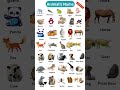 🐯Animals Names in 120 Seconds