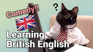 Funny Cats😹Cat confused by British English