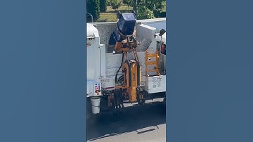 Derichebourg Labrie Automizer #shorts #garbagecollection #viralvideo #recycling