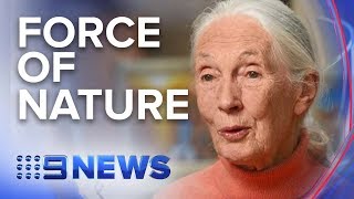 Dr. Jane Goodall on a mission to inspire young people | Nine News Australia