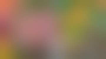 गाँव की होली || Gao ki Holi || Funny Comedy Video - Ft. Ankit Jack Vines