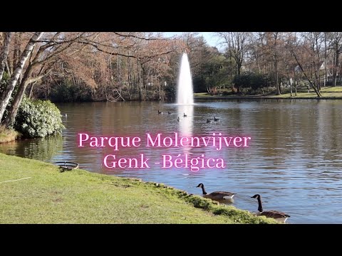 Un paseo corto por el parque de Molenvijver en Genk -Bélgica - Peruana en Bélgica.