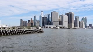 A View From Governors Island (and a hungry tern) by quote_nature 186 views 8 months ago 1 minute, 3 seconds