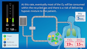 The dilution effect of O2 during the practice of low flow anesthesia