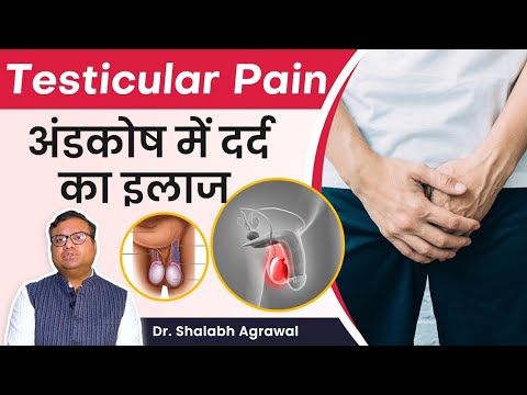 💹अंडकोष में दर्द के कारण ओर इलाज | ✅Testicular Pain Causes and Treatment in ✔️Hindi