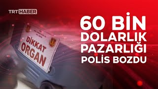 Yasa Dışı Organ Naklindeki Dayı - Yeğen Oyunu Bozuldu