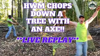 HWM chops down a 15” Beech tree LIVE with a Axe!@fatefarmspa @TimAndOldSaws ​⁠