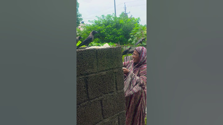 എന്റെ ഉപ്പ ഉമ്മ ഇങ്ങനെയാ 🥹🤌 #music #song #youtuber #shorts #youtubeshorts #happiness #family