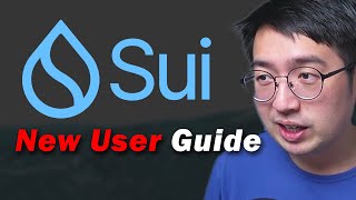 How to get started with SUI