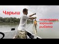 Чарыш  -  ловля щуки и окуня на джиг и тейлспинеры