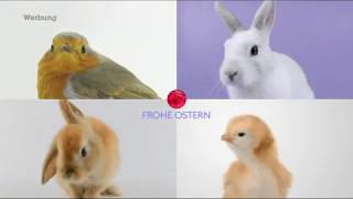 Vox Oster-Idents 2020