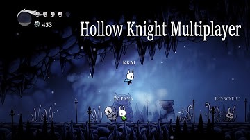 Hollow Knight Multiplayer