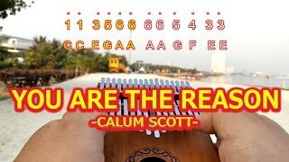 YOU ARE THE REASON By CALUM SCOTT - Kalimba with Easy Tab