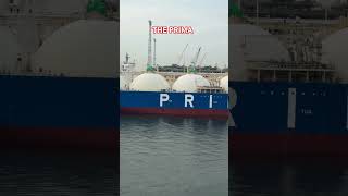 THE PRIMA SHIP ⛴️ 🚢 IN SINGAPORE 🇸🇬 #foryou #ship
