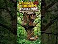 Hidden Forest Fort! #shorts #reels