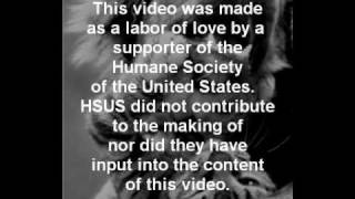 Hsus - By The Numbers