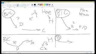 Amir Explaning Hoeism And Douche Guys